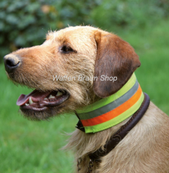 Reflektierendes Halsband, 7 cm breit, 45 cm lang 