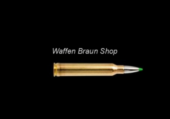 Norma ECOSTRIKE .300 Winchester Magnum 9.7g/150grs a"20 Stück 