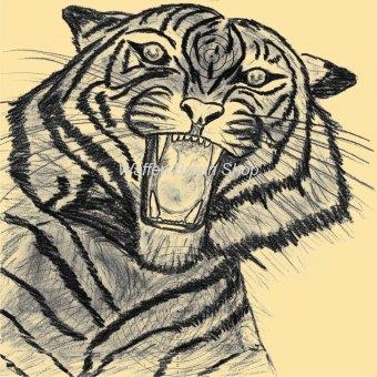 Tiger-Scheibe Serie Großwildjagd 
